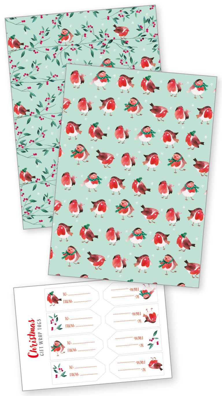 ELS40062 C Winter Robin Wraps RGB