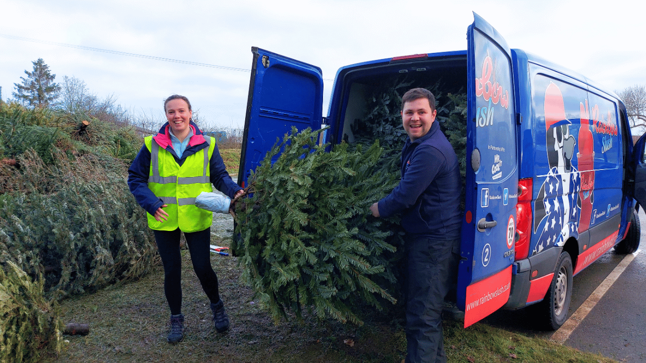 Christmas Tree Collection
