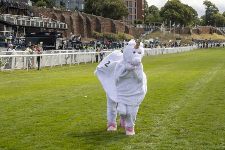 Pantomime Horse Race 2025070