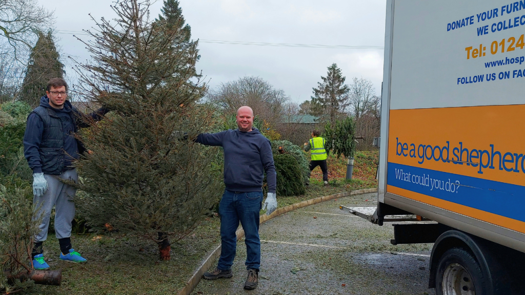Christmas Tree Collection