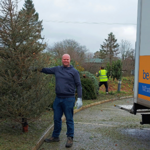 Christmas Tree Collection